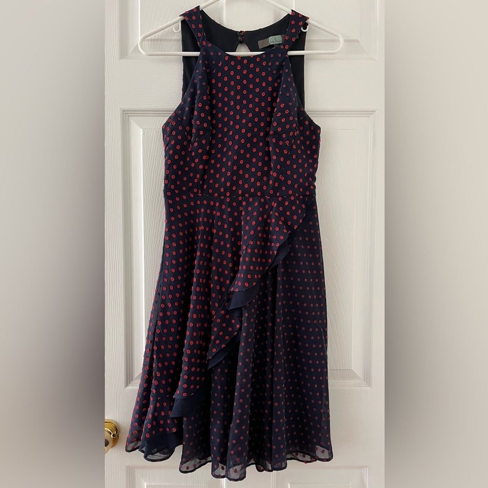 Eva Franco Navy & Red Polkadot Dress from Anthro Size 0